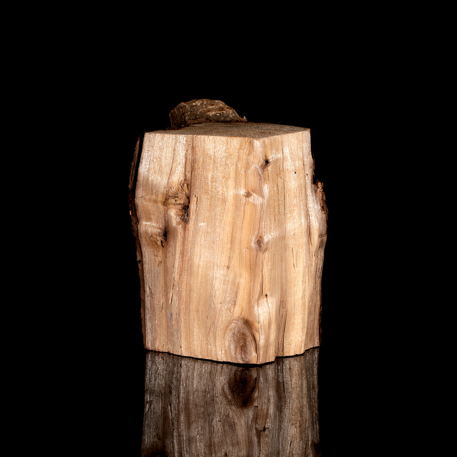 Premium Golden Phoebe Wood Blessing Bracelet(15mm)